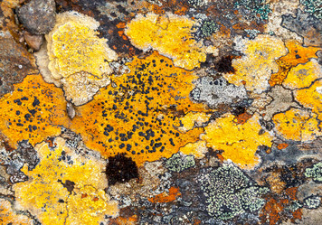 Similar image 22011939