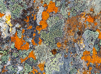 Similar image 22011940