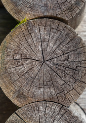 Similar image 22011942