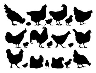 Similar image 22007608