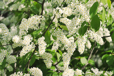 Similar image 22015748