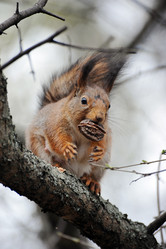 Similar image 22015813