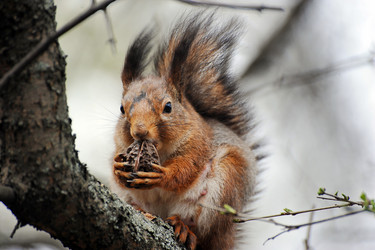 Similar image 22015814