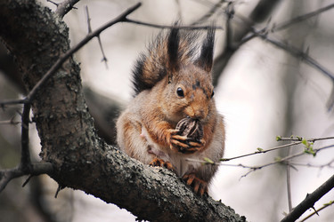 Similar image 22015815