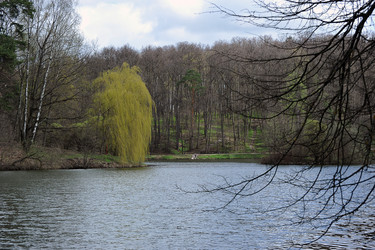 Similar image 22015817