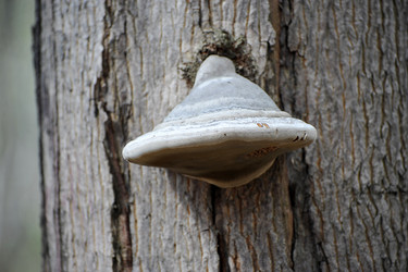 Similar image 22015818