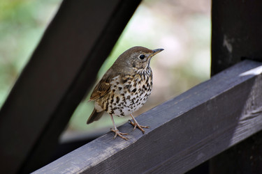 Similar image 22015842