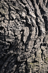 Similar image 22015845