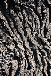 Similar image 22015870