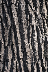 Similar image 22015872