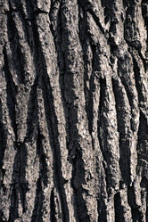 Similar image 22015874