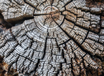 Similar image 22012804