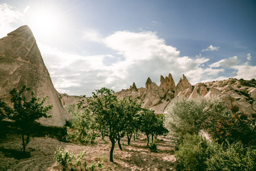 Similar image 22015960