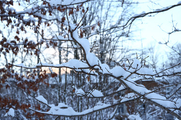 Similar image 22014337