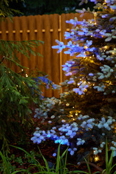 Similar image 22014347