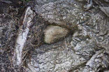 Similar image 22014357