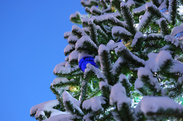 Similar image 22014474