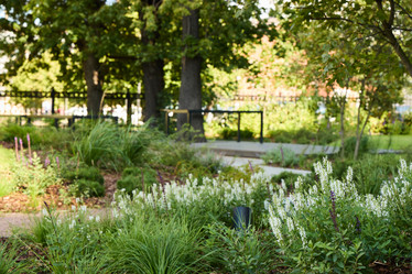 Similar image 22017436