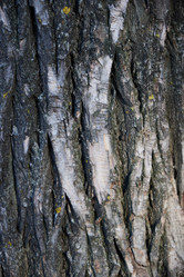 Similar image 22018558