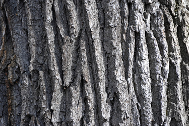 Similar image 22015821