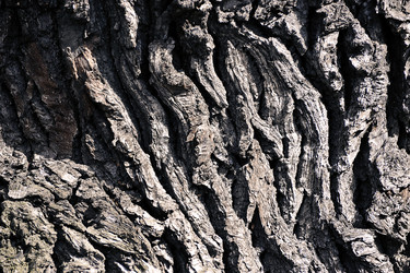 Similar image 22015823