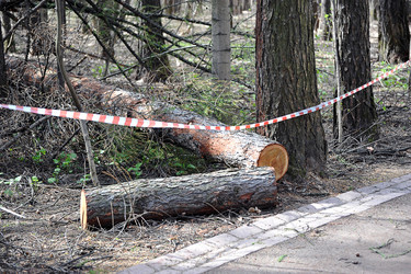 Similar image 22015848