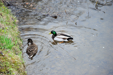 Similar image 22015875