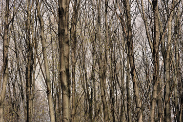 Similar image 22015879