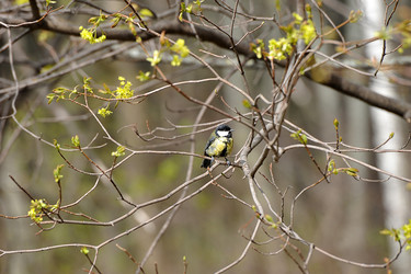 Similar image 22015894