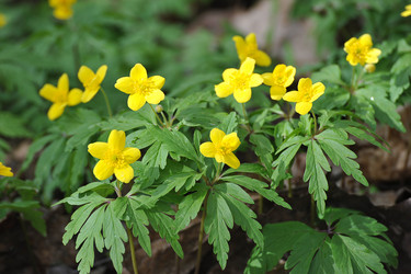 Similar image 22015896