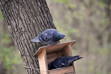 Similar image 22016008