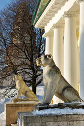 Similar image 22016020