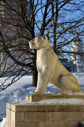 Similar image 22016026