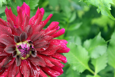 Similar image 22007610