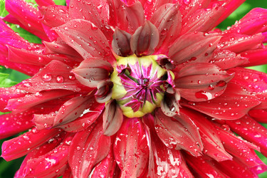 Similar image 22007611