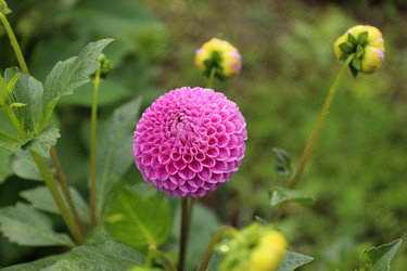 Similar image 22007612