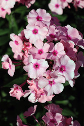 Similar image 22007615