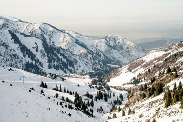 Similar image 22016036