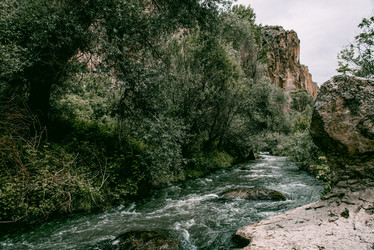 Similar image 22016037