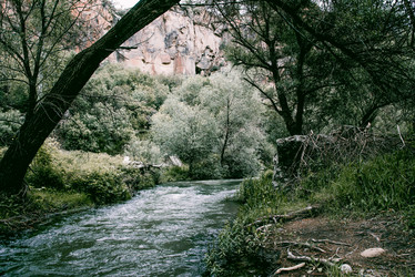 Similar image 22016038