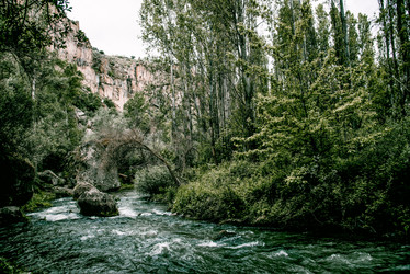 Similar image 22016044