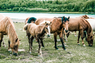 Similar image 22016046