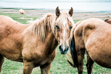 Similar image 22016047