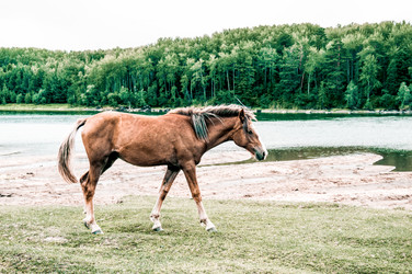 Similar image 22016048