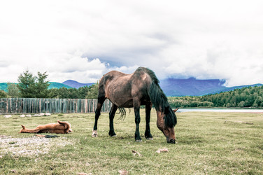 Similar image 22016050