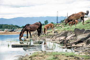 Similar image 22016051