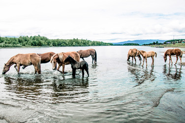 Similar image 22016055