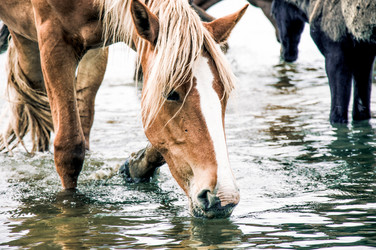 Similar image 22016057