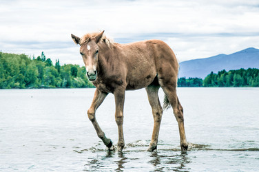 Similar image 22016058