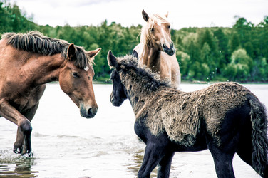 Similar image 22016059